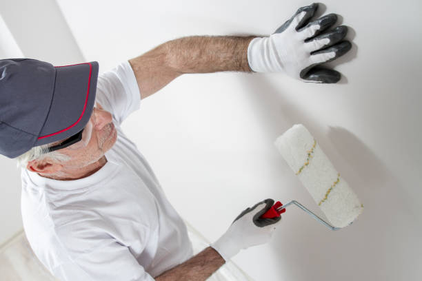 Best Biohazard Mold Removal  in Douglas, MI