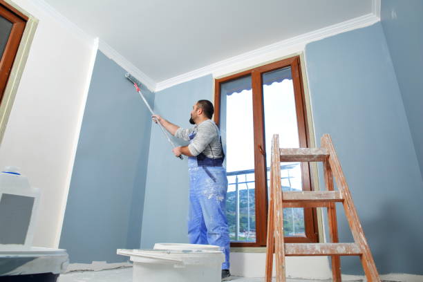 Best Dehumidification Services  in Douglas, MI