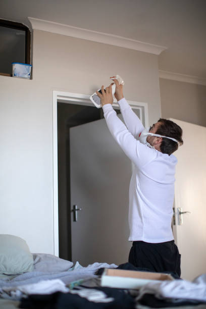 Best Commercial Mold Inspection  in Douglas, MI