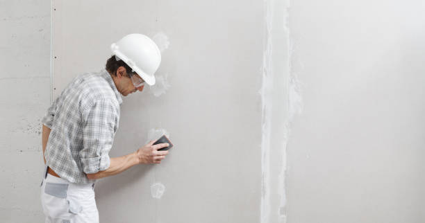 Best Emergency Mold Remediation  in Douglas, MI