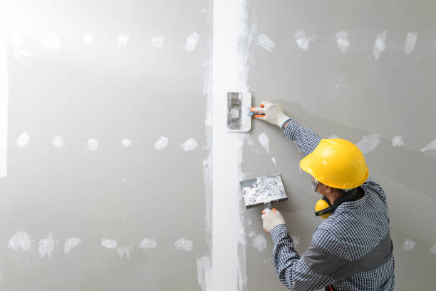 Best Industrial Mold Remediation  in Douglas, MI