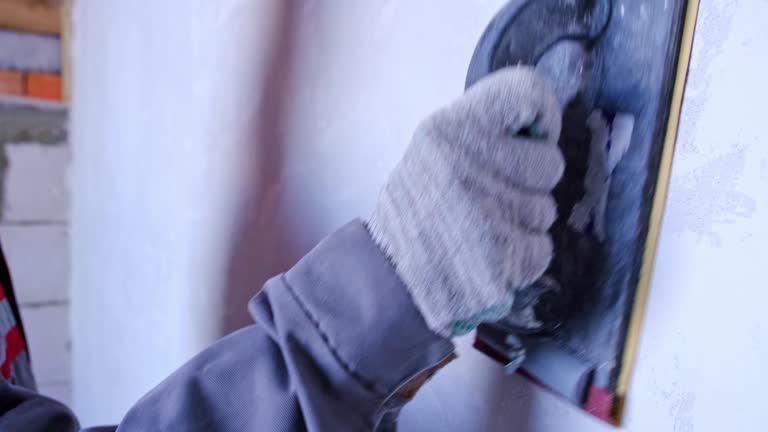 Best Emergency Mold Remediation  in Douglas, MI