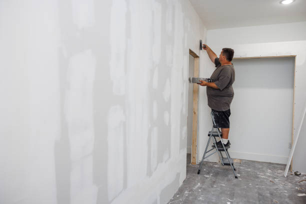 Best Environmental Consulting for Mold Prevention  in Douglas, MI