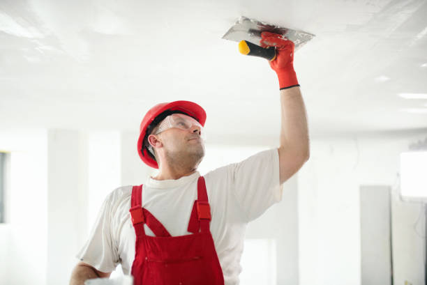 Best HVAC Mold Inspection and Cleaning  in Douglas, MI