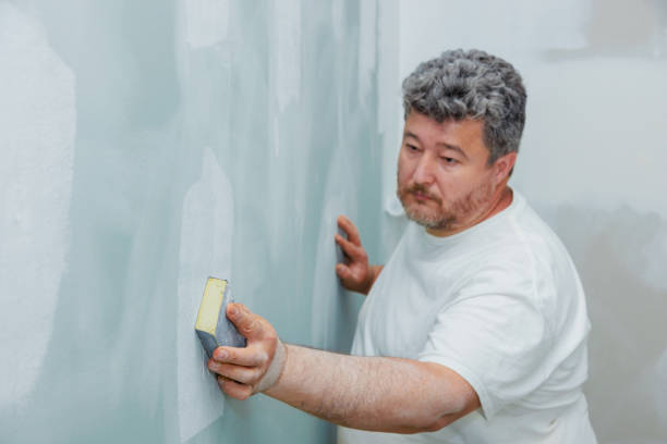 Trusted Douglas, MI Mold Removal Experts