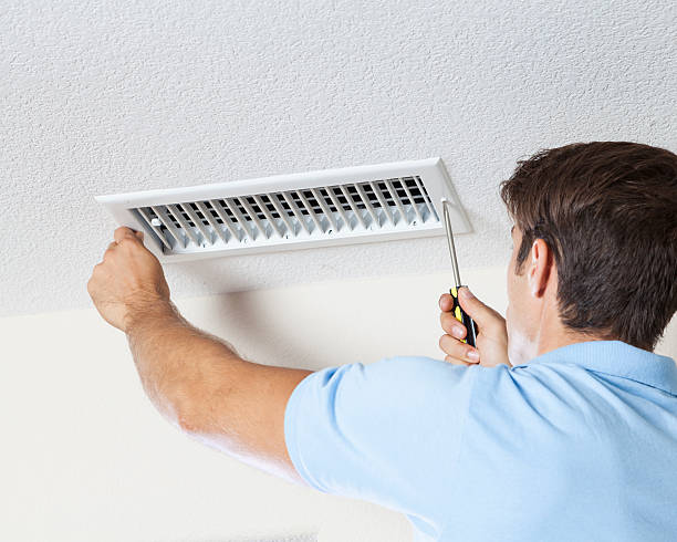  Douglas, MI Mold Removal Pros