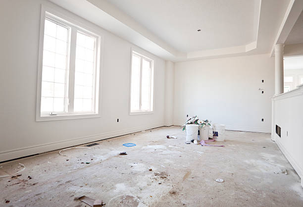 Best Environmental Consulting for Mold Prevention  in Douglas, MI