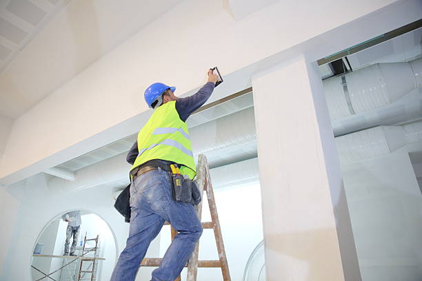 Best Water Damage & Mold Remediation  in Douglas, MI