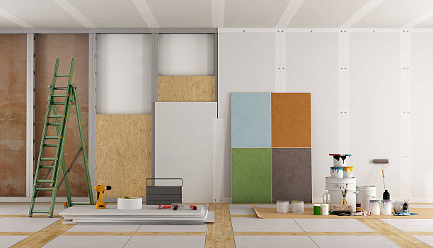 Mold Documentation for Insurance Claims in Douglas, MI