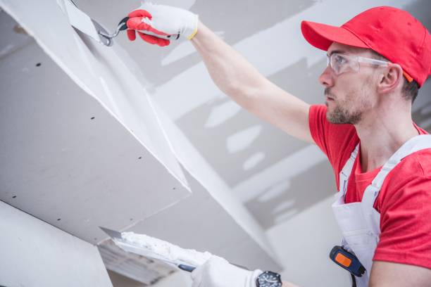 Best Forensic Mold Investigation  in Douglas, MI