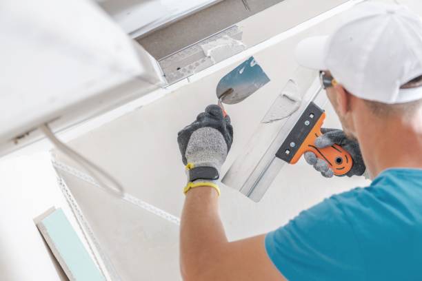 Best Real Estate Mold Inspection  in Douglas, MI